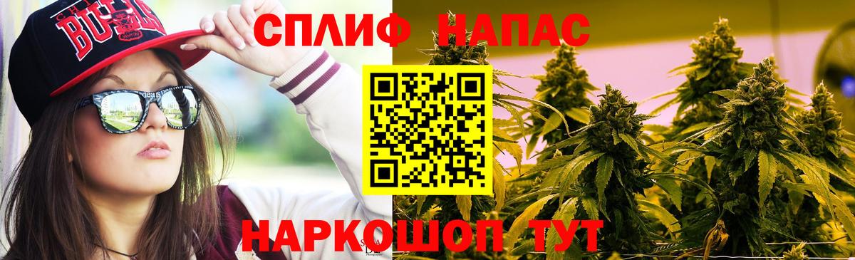 Конопля гибрид Симферополь